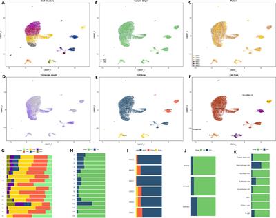 GADD45B regulates the carcinogenesis process of chronic atrophic gastritis and the metabolic pathways of gastric cancer